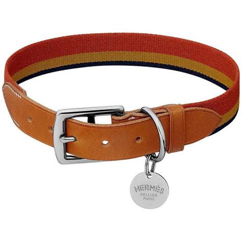 hermes dogs|hermes dog collars for sale.